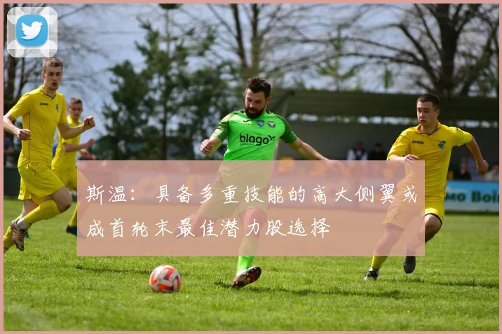 斯温：具备多重技能的高大侧翼或成首轮末最佳潜力股选择